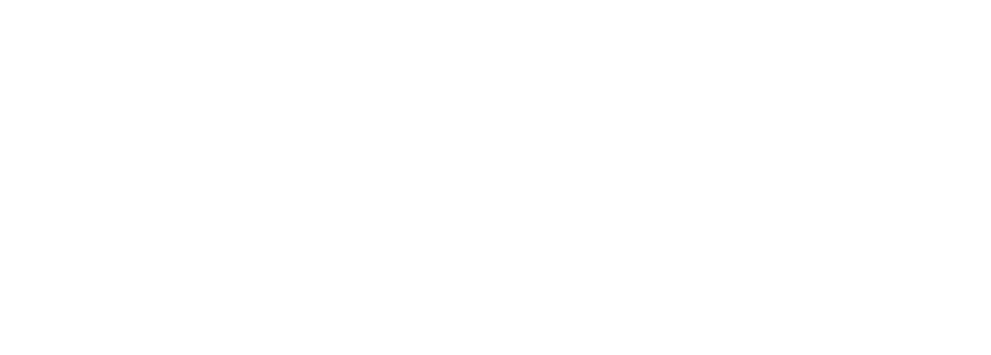 chelsea-locksmiths-ltd-high-resolution-logo-white-transparent